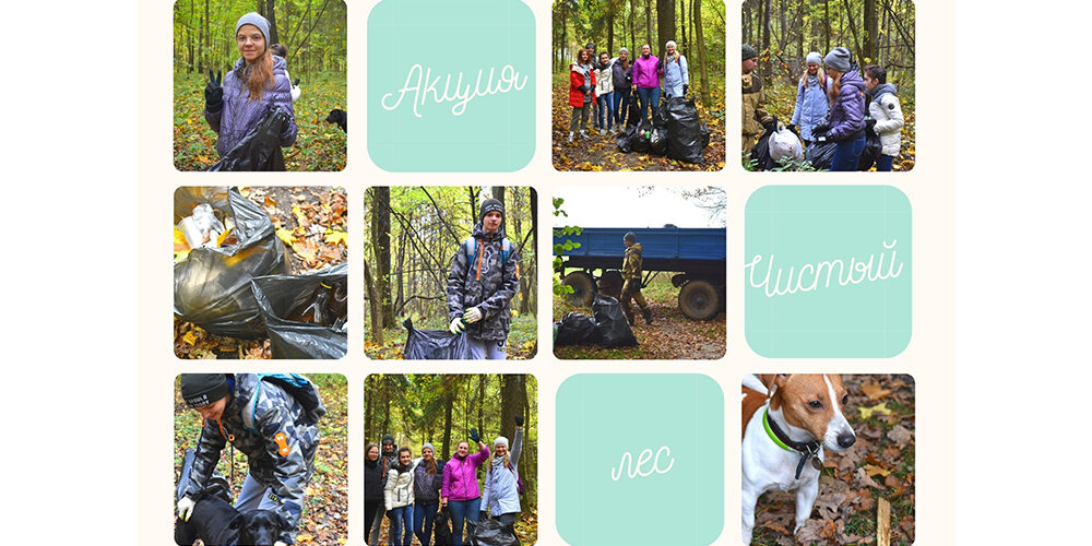 Акция "Чистый лес"