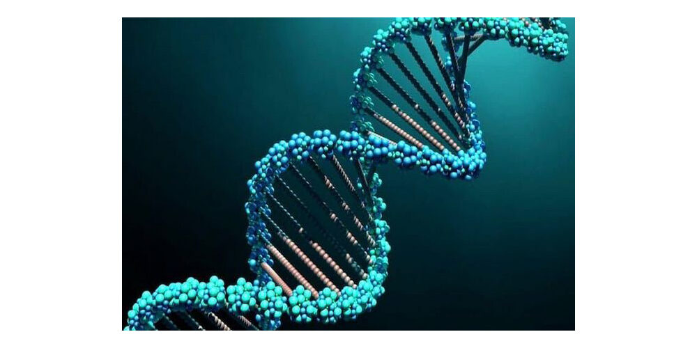 ДНК-тестирование