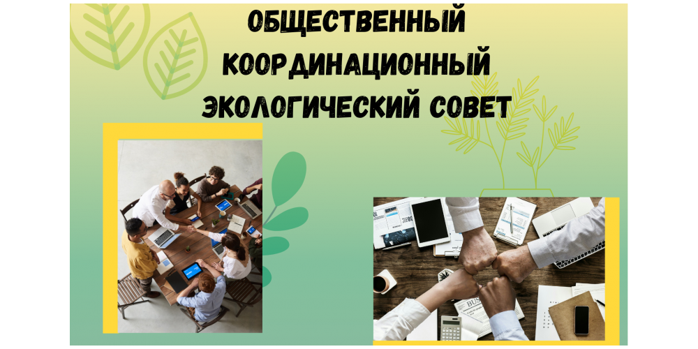 Заседание общественного координационного экологического совета