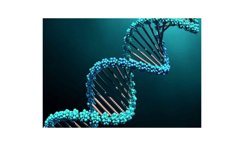 ДНК-тестирование