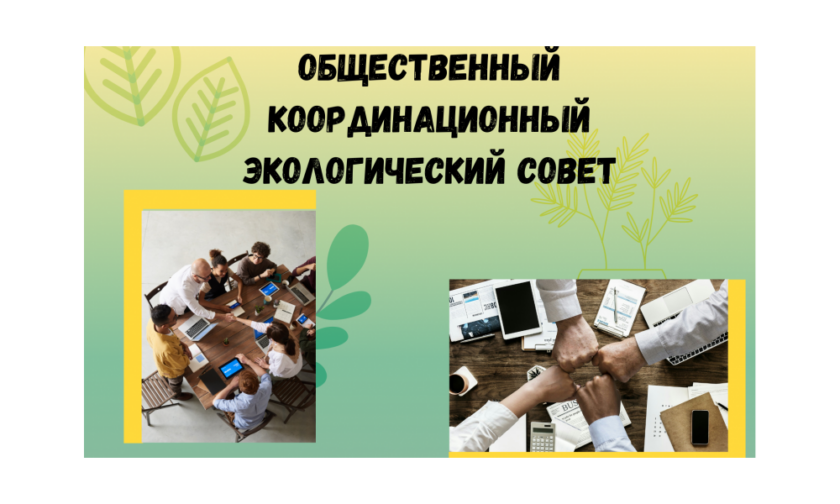Заседание общественного координационного экологического совета