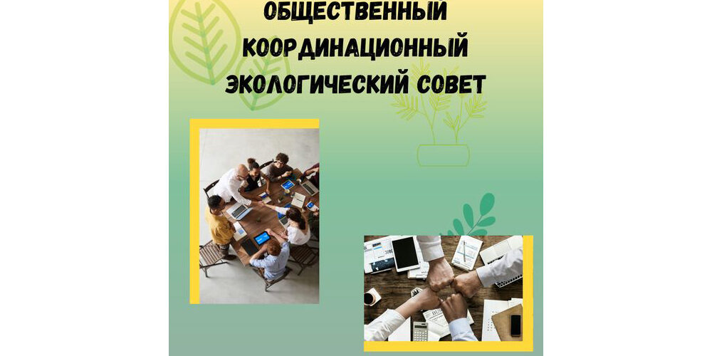 общественный координационный экологический совет