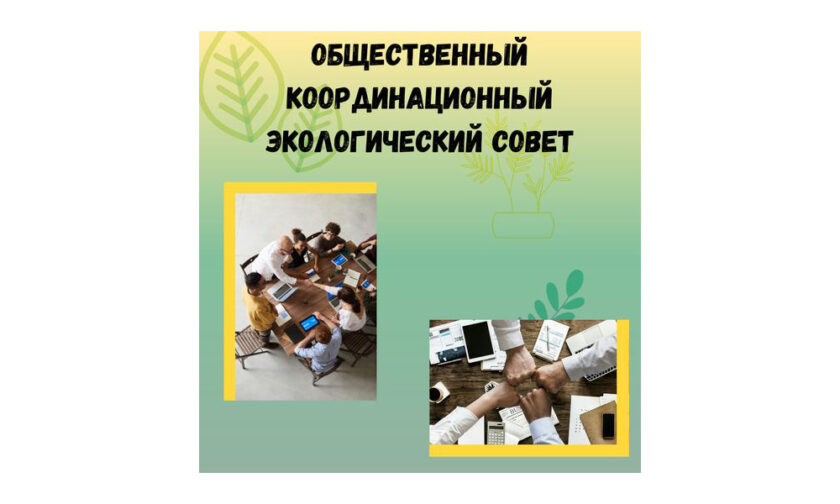 общественный координационный экологический совет