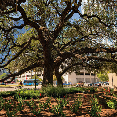 журнал Landscape Architecture Magazine