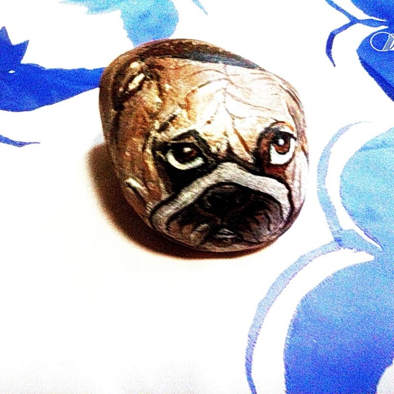 собака на камне