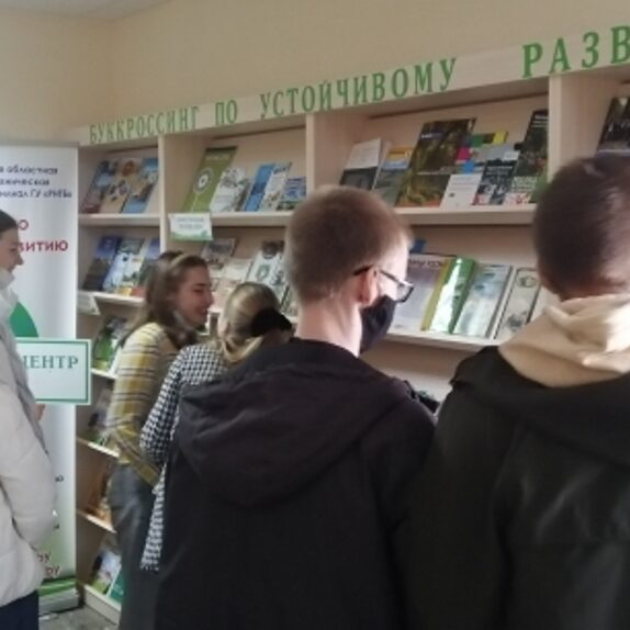 устойчивое развитие sustainable development