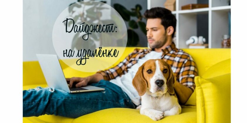 собака с хозяином dog with owner