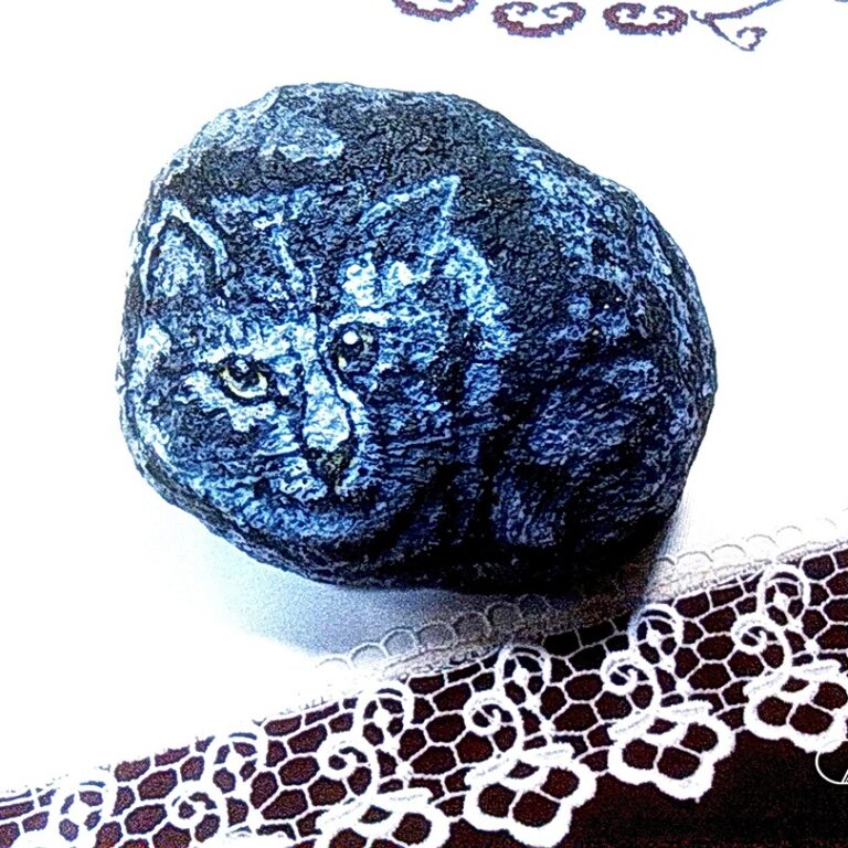 кот на камне