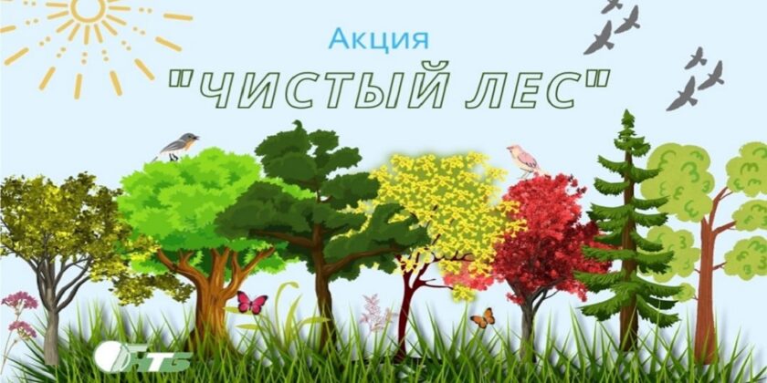 акция "Чистый лес"