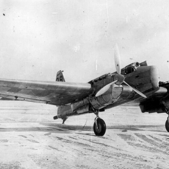 АНТ-29 (ДИП-1 от дальний истребитель пушечный) – пушечный опытный двухместный истребитель, разработанный в ОКБ Туполева в начале 1930-х годов