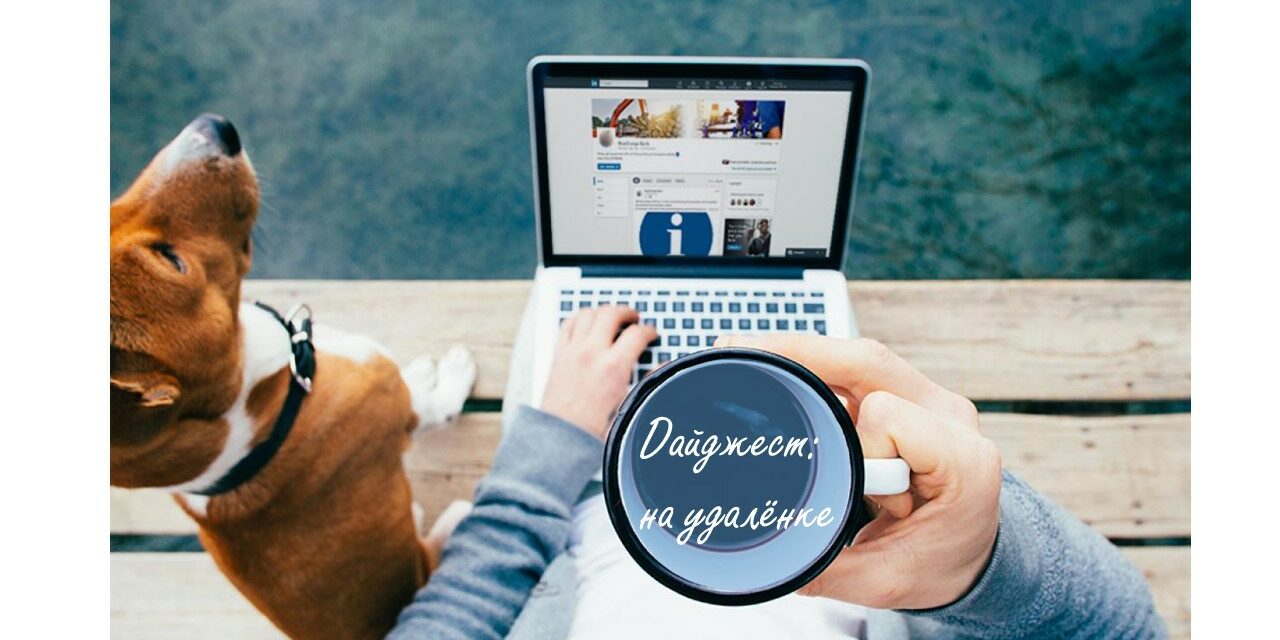 дайджест новостей