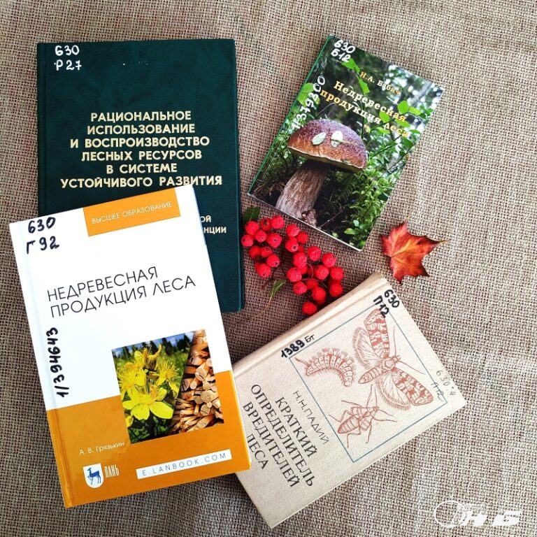 недревесная продукция леса