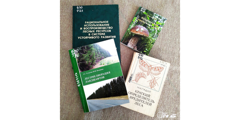 лесомелиорация ландшафтов