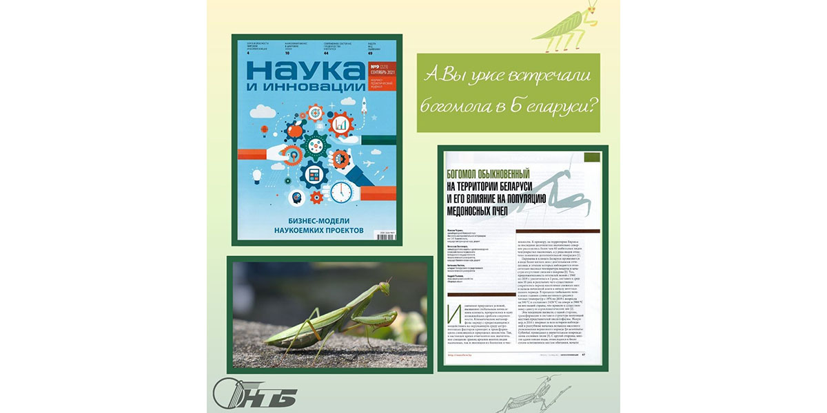 проблемы изменения климата