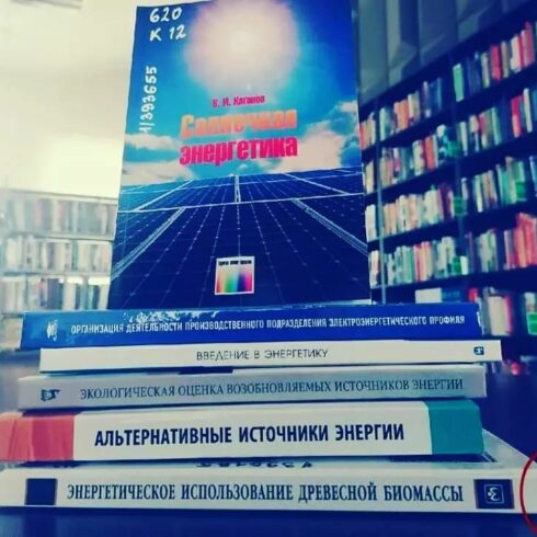 древесная биомасса