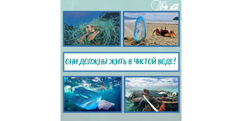 опасность микропластика