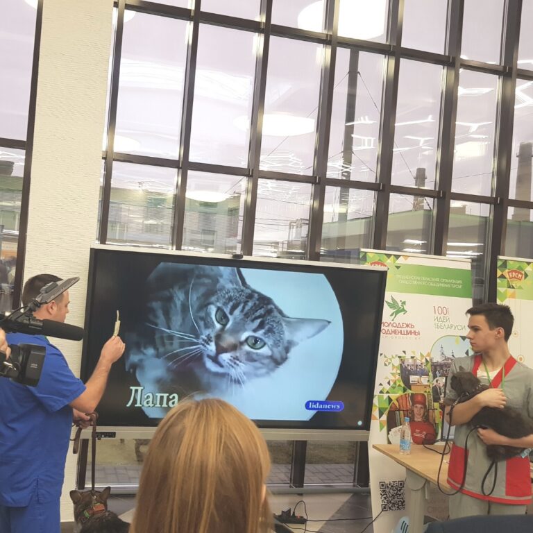 областной этап конкурса «100 идей для Беларуси»