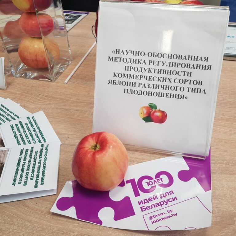 областной этап конкурса «100 идей для Беларуси»
