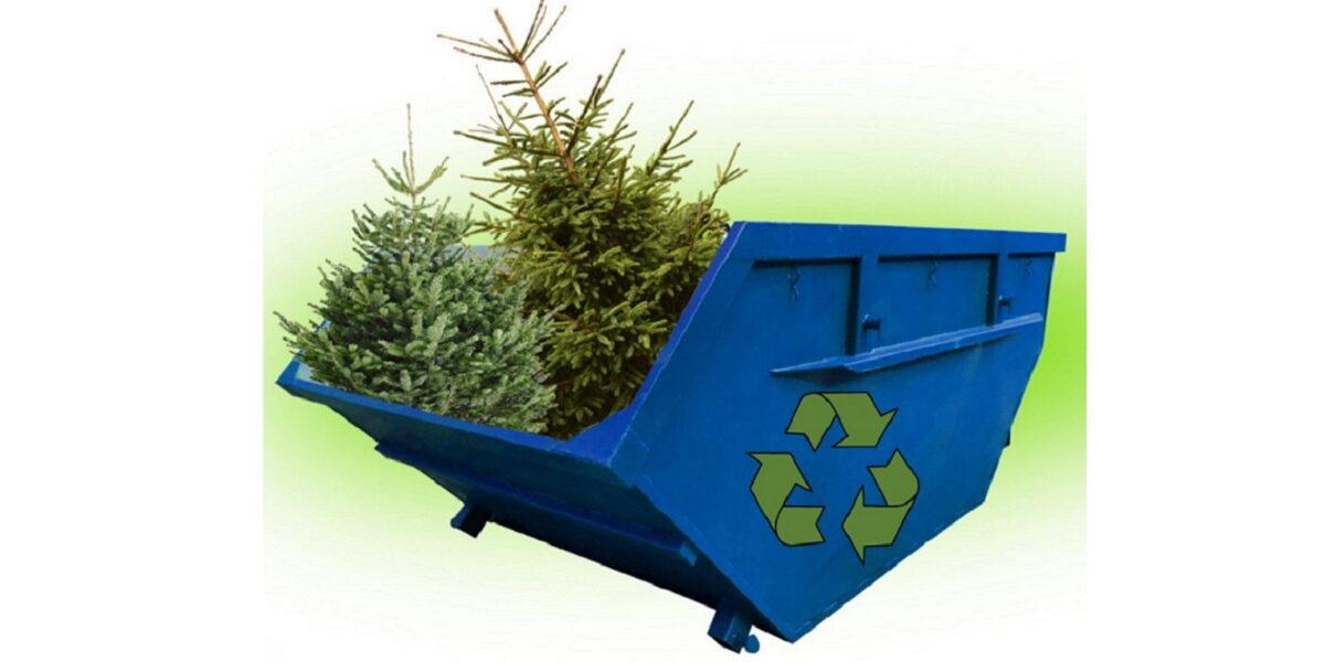 утилизация новогодних елок