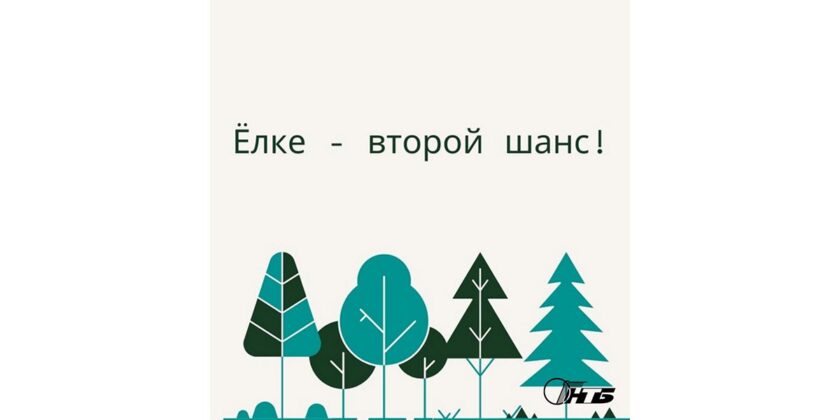 переработка ёлок