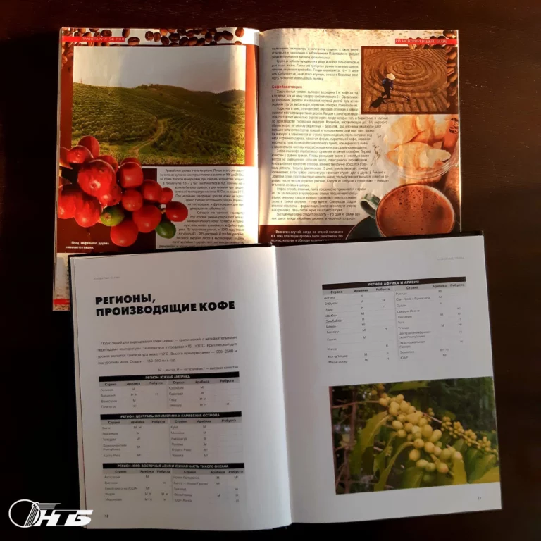 факты о кофе