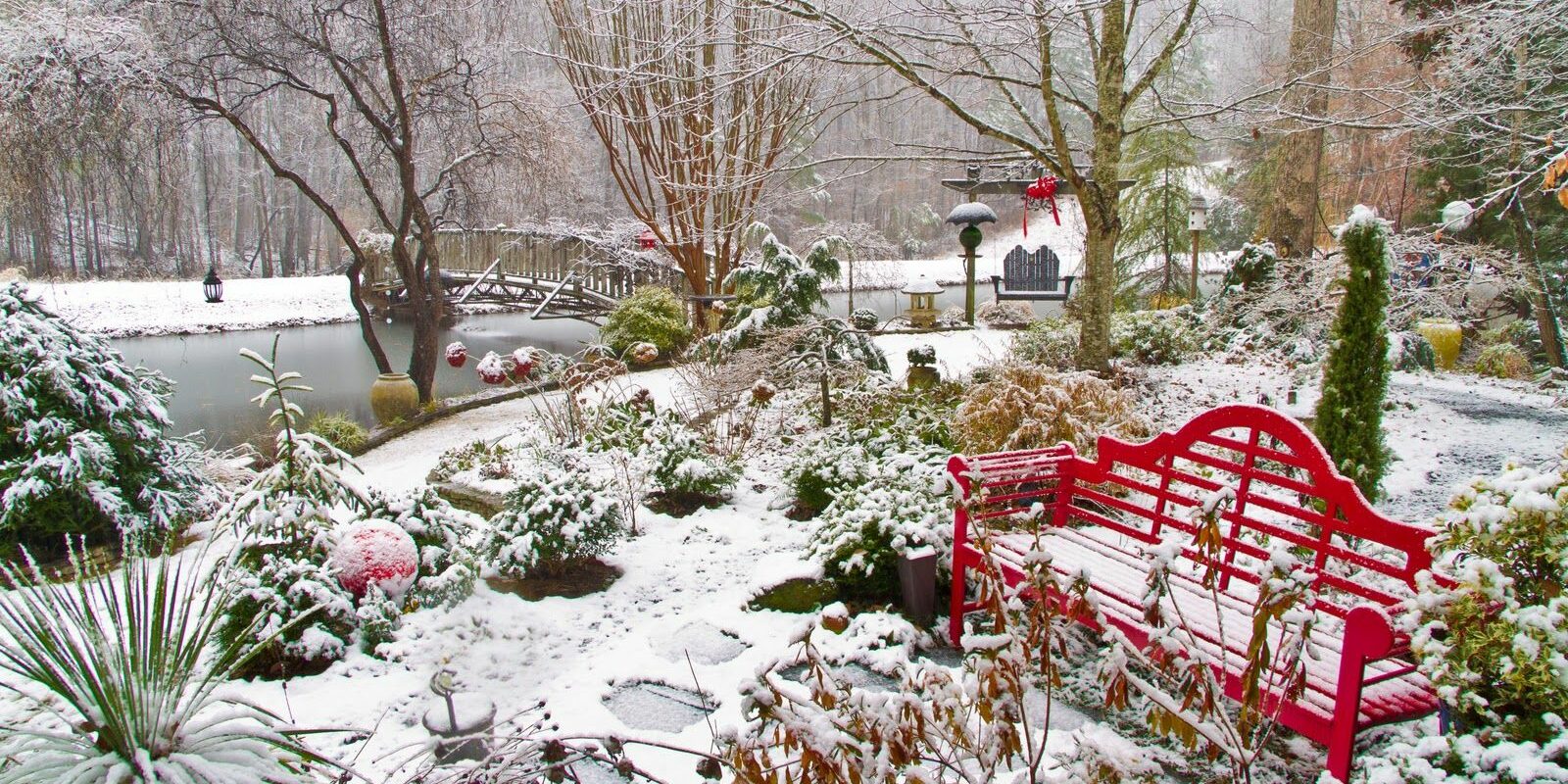 снег в парке