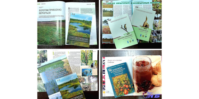 Всемирный день водно-болотных угодий