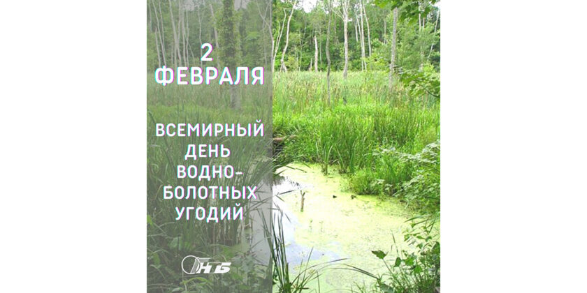 2 февраля, во всём мире отмечают День водно-болотных угодий.