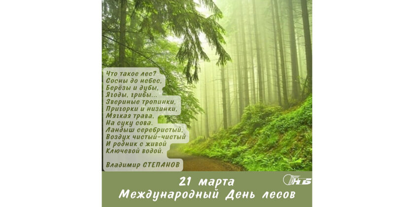 Международный день лесов