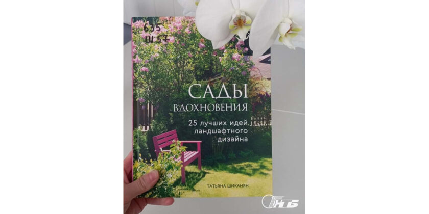 25 лучших идей ландшафтного дизайна