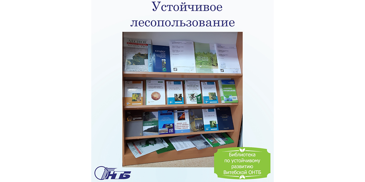 устойчивое лесопользование