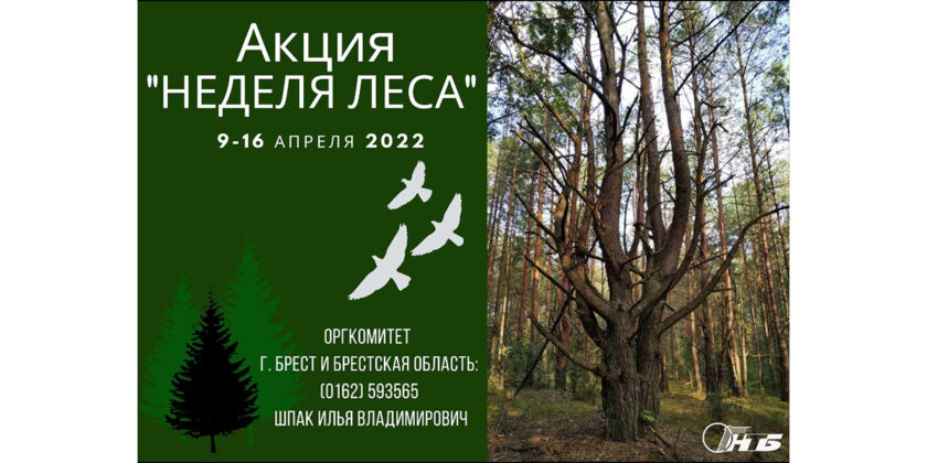 Неделя леса