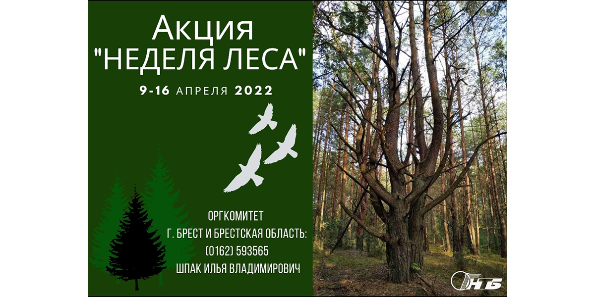 Неделя леса