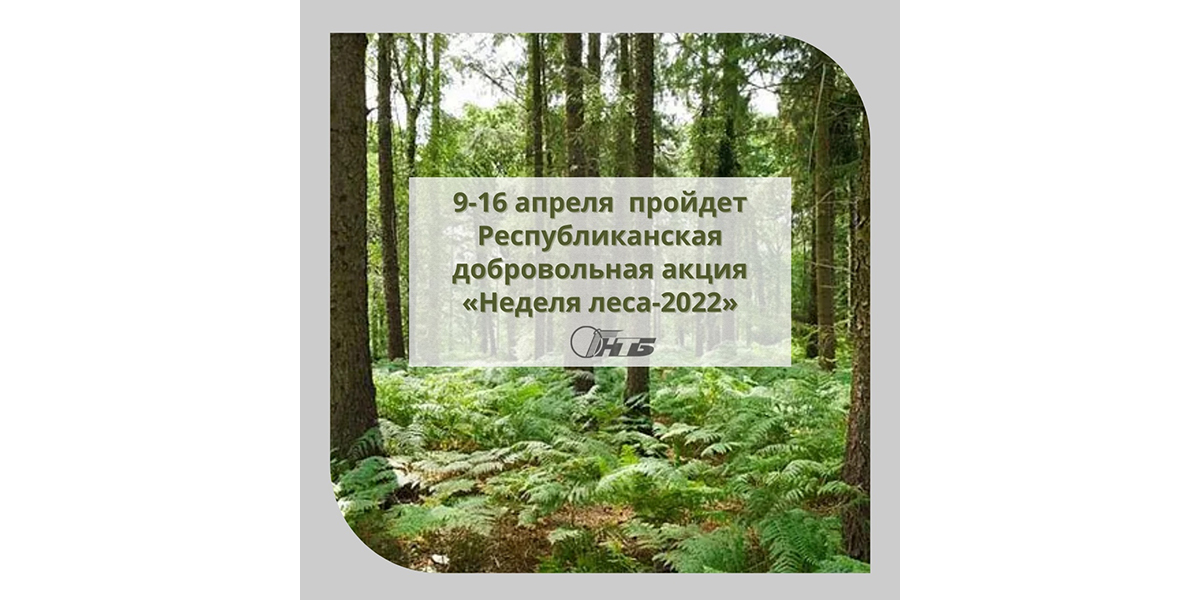 Республиканская добровольная акция «Неделя леса-2022»