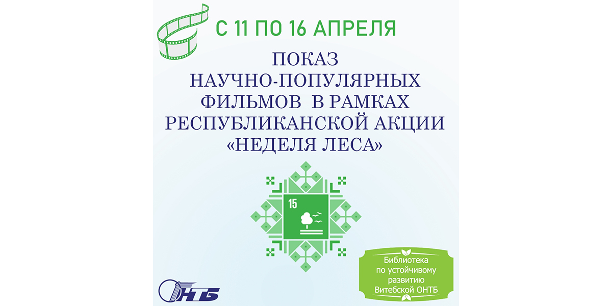 рациональное лесопользование