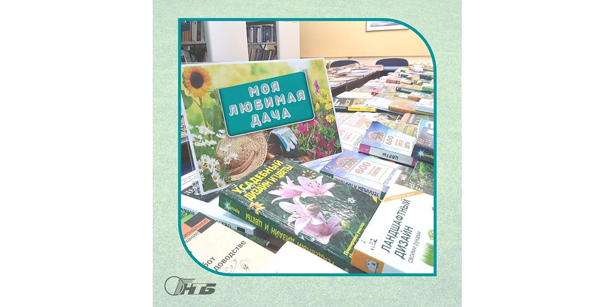 дачный сезон