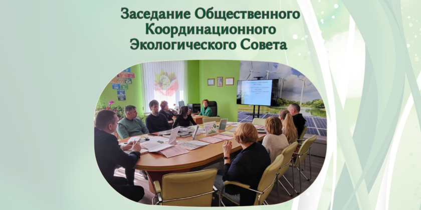 Заседание общественного координационного экологического совета