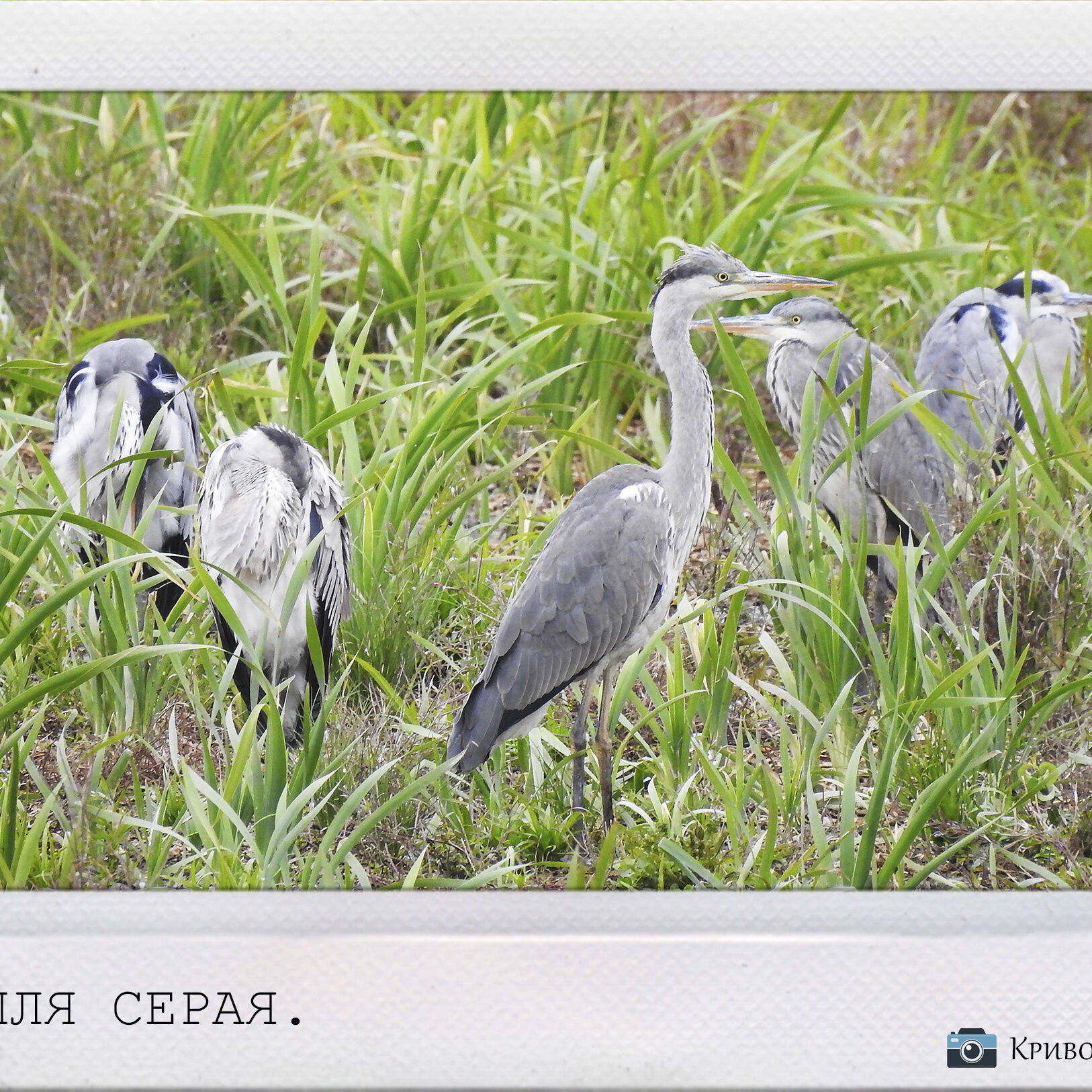 планета земля