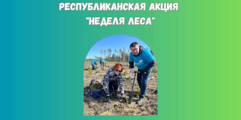 неделя леса