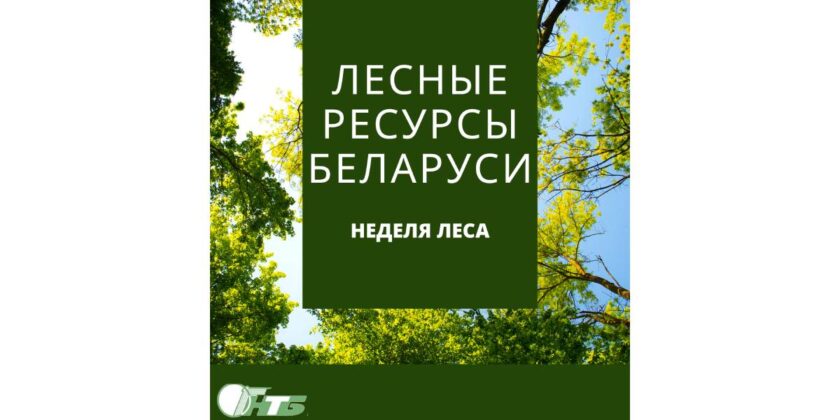 неделя леса
