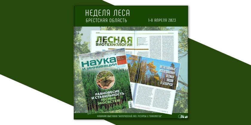 Тематическая выставка «Белорусский лес: ресурсы и технологии»