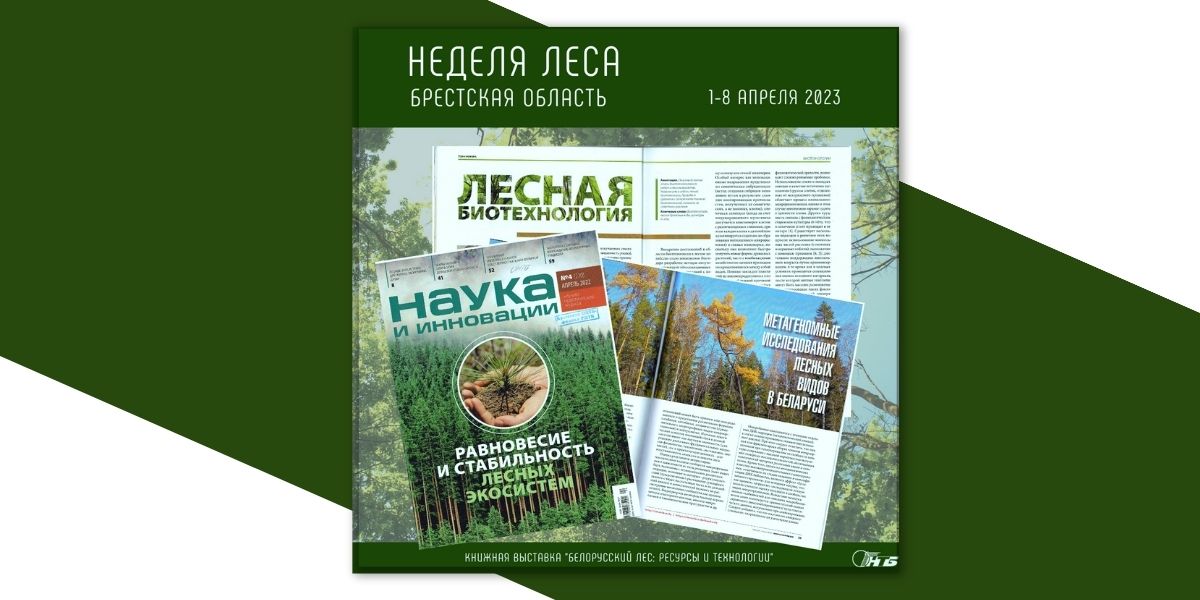 Тематическая выставка «Белорусский лес: ресурсы и технологии»