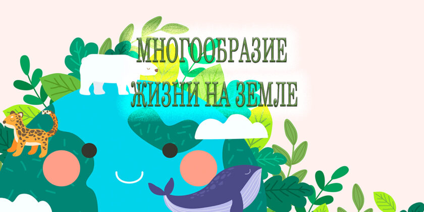 выставка "Многообразие жизни на земле"