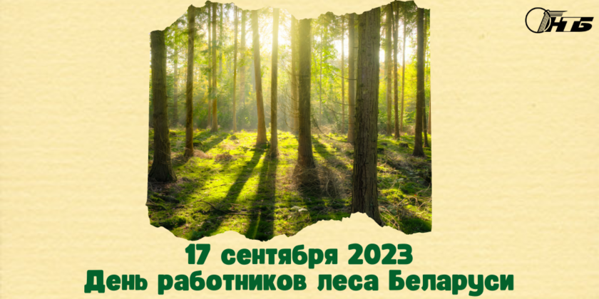 Тематическая выставка "Лес - наше богатство"