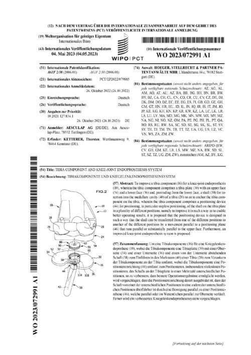 описание изобретения к патенту WO2023072991