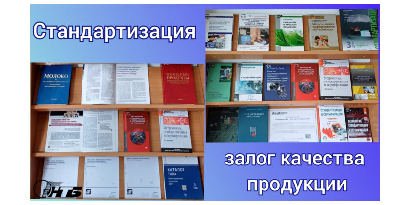 день стандартизации