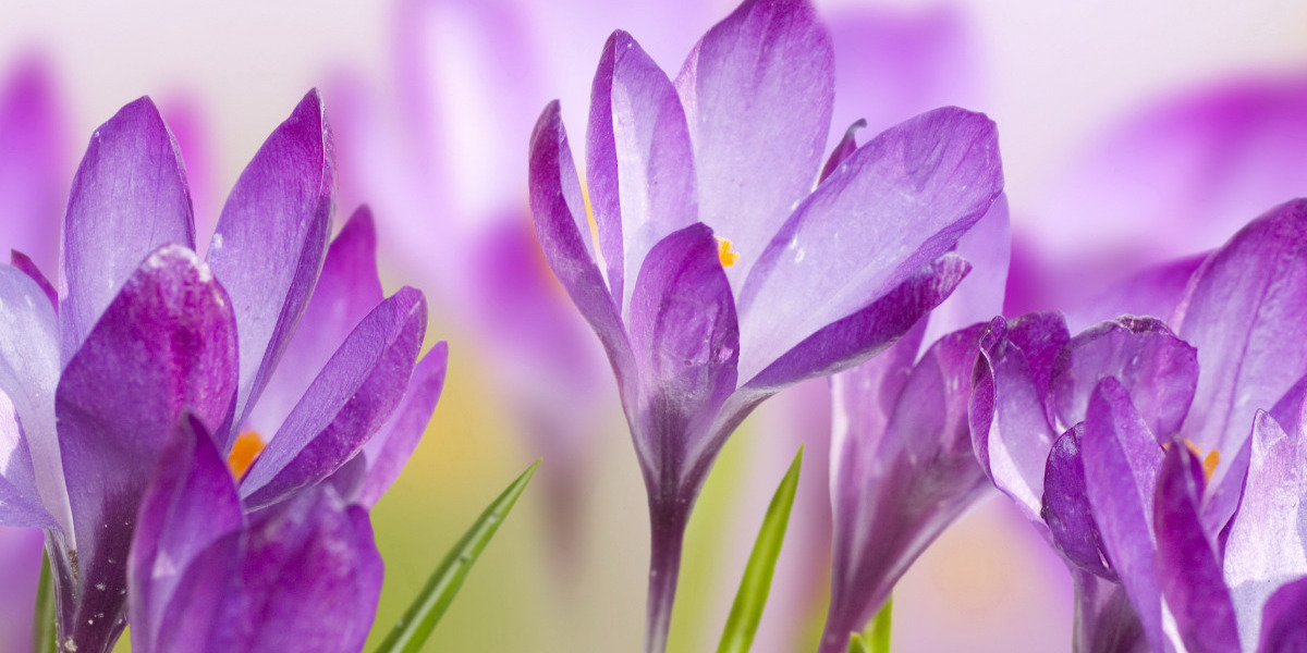 график работы РНТБ