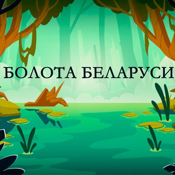 Болота Беларуси