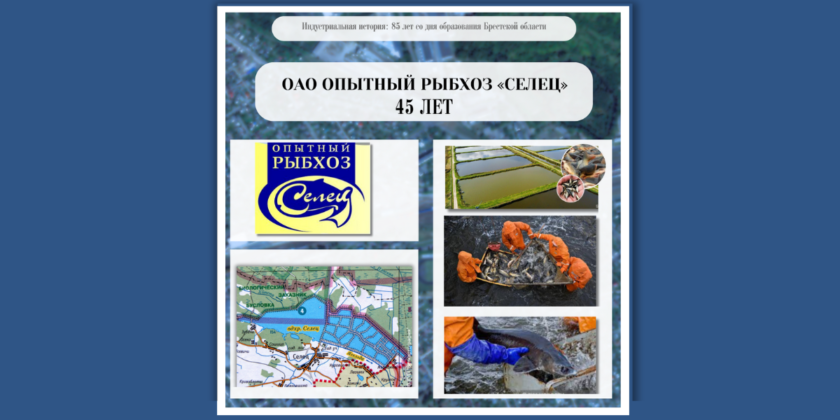 Рыбхозу "Селец" 45 лет