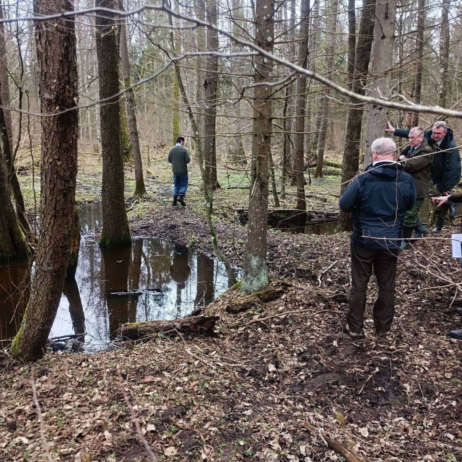 мероприятия мониторинговой миссии на территории Беловежской пущи